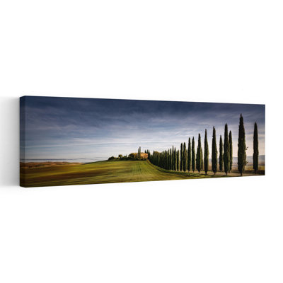 «Cypress toscan», art dramatique paisible, paysage serein, cyprès