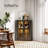 Buckhurst 2 - Door Corner Accent Cabinet With LED Light-889809919
