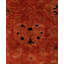 Overdyed Hand-Knotted Wool Modern-Contemporary Brown Runner 3' 1" x 8' 2"