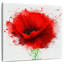 Harnek Red Poppy Splash-109216012