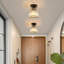 Ahilyn Crystal Flush Mount-780844661