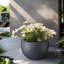 Pot à fleurs en ciment Highwoods-1168435959-1168435960