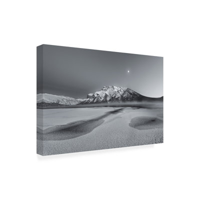 Art sur toile, Moon