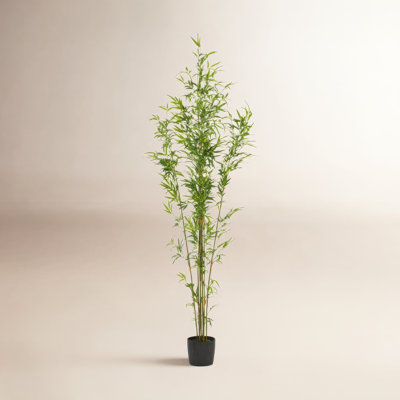 96" Tree in Pot