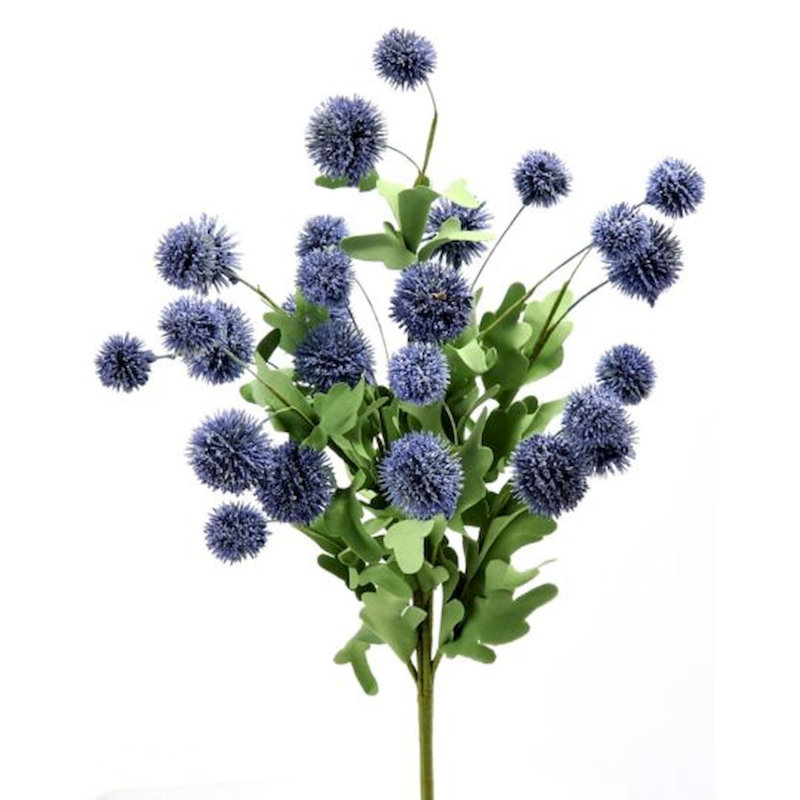 Tiges Ecinops, Bleu