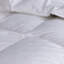 Vienna Down Comforter Light Weight-63470155