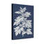 Plantes et fleurs, motif de feuilles botaniques sur fond bleu marine-1244473035