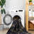 Washable Area Rug 6X9, Non-Shedding, Non-Slip. Comfortable And Stylish For Bedroom, Living Room, Kitchen. & Pet Loving. Black + Gold Washable, Kitchen, Dining Room. . Look-1368190766