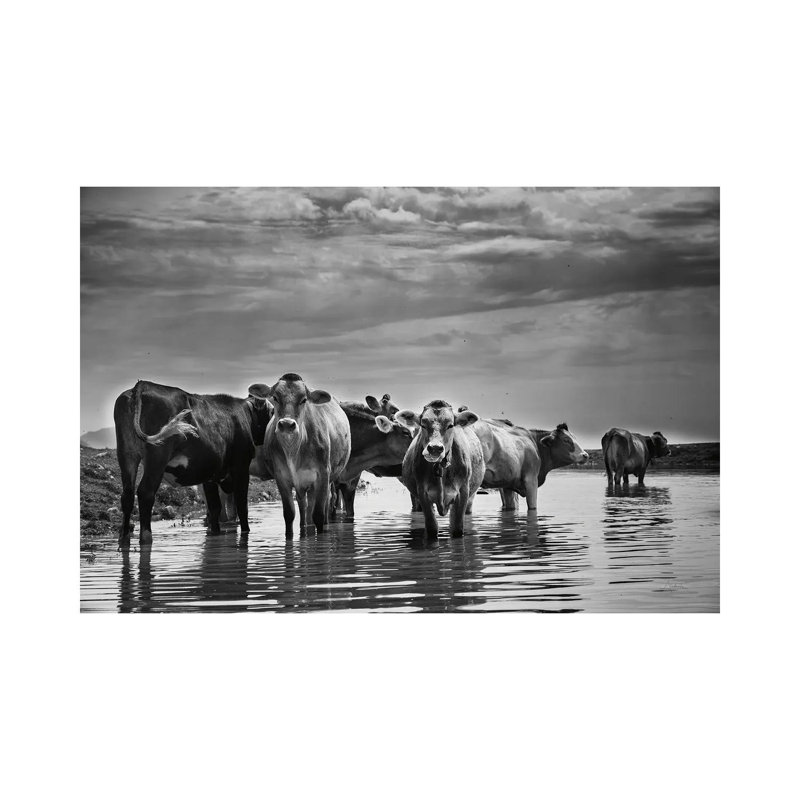 In The River by Aledanda - Wrapped Canvas Print, 20.32 cm H x 30.48 cm W