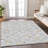  Maliana Area Rug-1595400848