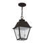 Lanterne suspendue d'extérieur 2 lumières Arnetria-22670196