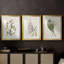 Antique Botanical Collection I - Impression personnalisée de qualité supérieure avec cadre mat - 3 pièces-1819233687-1819233686