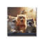 «Trendy Singing Cats» par Jim Baldwin sur toile-953218411