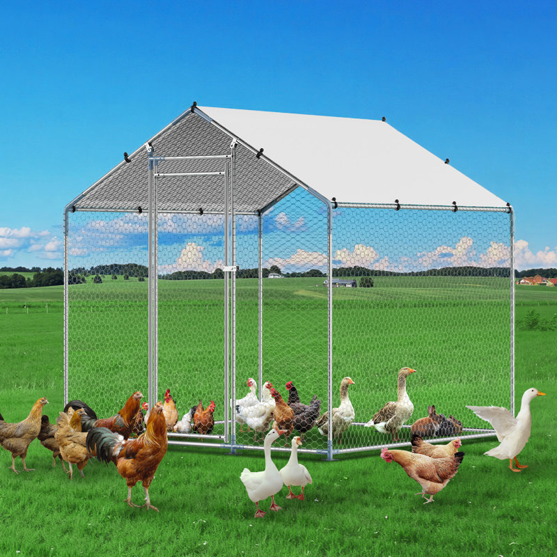 Poulailler en métal avec couvercle, H 78,72 po x l 78,72 po x P 78,72 po