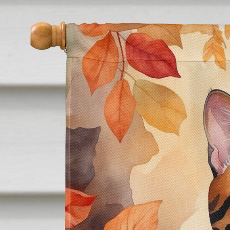 Chat en feuilles d'automne, Bengale
