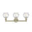 Éclairage pour meuble-lavabo 3 lumières 24 po Cambria-2011139265-2004988850