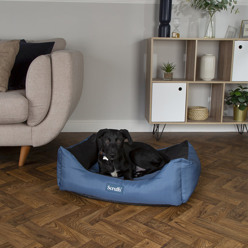 Polyester Pet Bed, 20cm H x 50cm W x 60cm D, Atlantic Blue