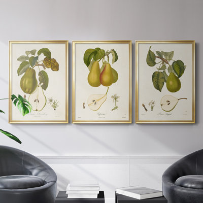" Vintage Pears IV " 3 - Pieces