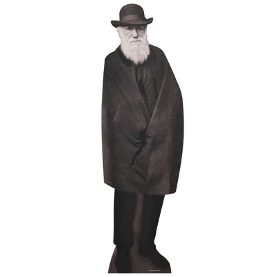 Accroche en carton charles darwin