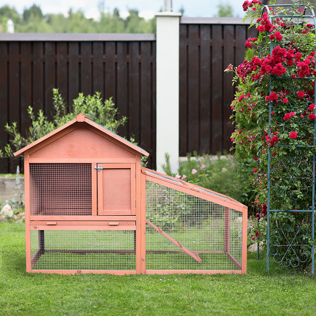Weather Resistant Rabbit Hutch
