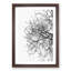 Bare Tree - Picture Frame Graphic Art Print-56862561-56862564
