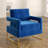 Binghamton Velvet Armchair-86570432-85353454
