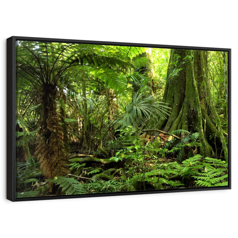 Jungle Ferns Forest, 31 po x 21 po, Cadre flottant noir
