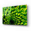 «Green Design 1» par PhotoINC Studio-1282689464