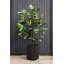 Demi Series Round Planter-86823201-83894853-83894851