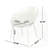 Accent Chair(Set Of 2)