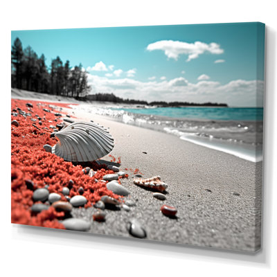 " Beach Seashell Symphony "