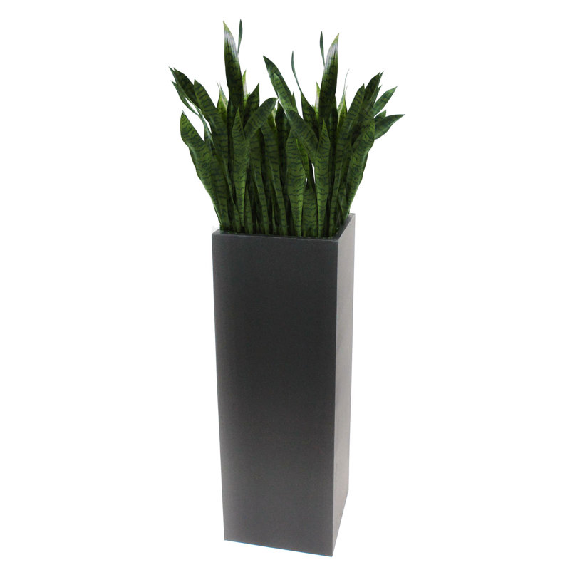 Faux Cactus Plant in Wood Planter
