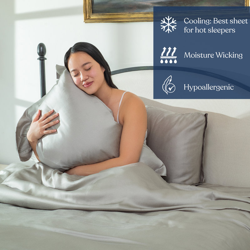Delara 100% Eucalyptus Lyocell TENCEL™ Cooling Euro Sham Set (2-Pack), 26" x 26" – Soft, Silky & Breathable, Dove