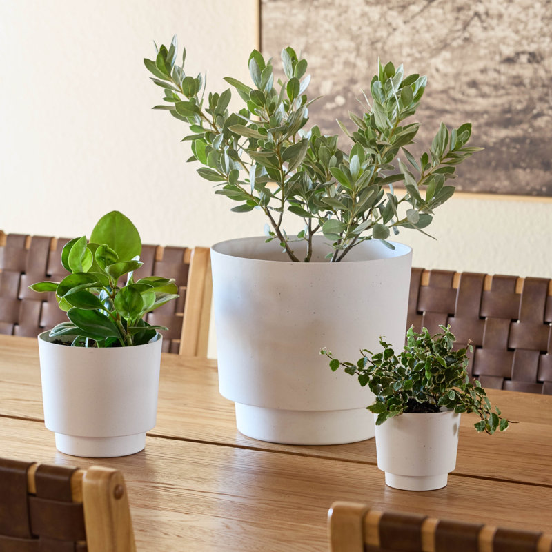 Pot de fleurs intérieur / extérieur Harlow, H 10,25 po x l 10,75 po x P 10,75 po, Ivoire ivoire