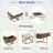 Modern Square Lift-top Coffee Table Set With Storage Space & 4 Ottomans