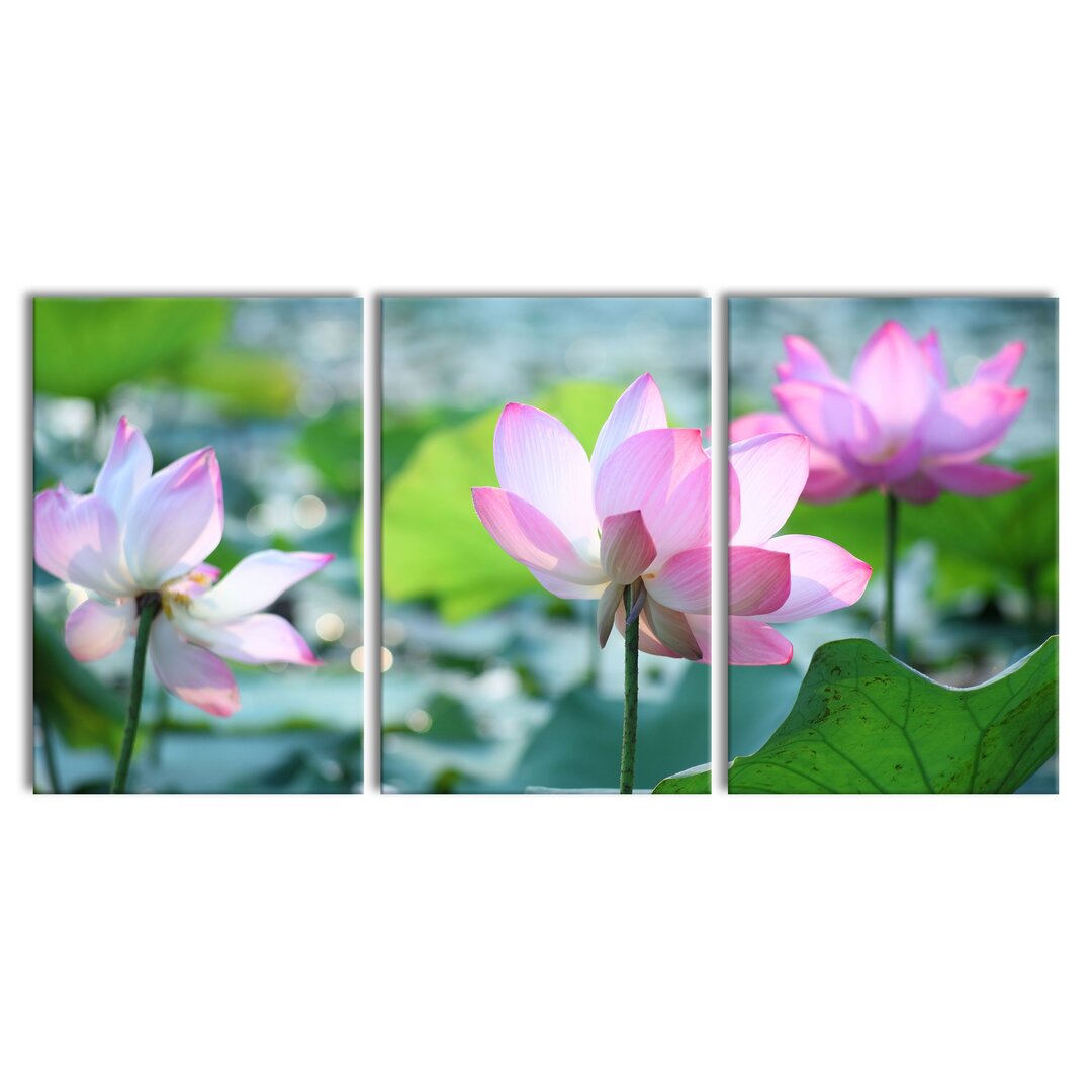 3-tlg. Leinwandbilder-Set Pink Lotus Flower in Pond