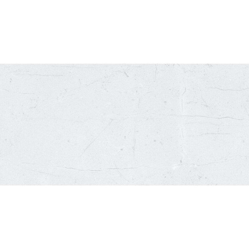 Foro 12" x 24" Matte Porcelain Floor and Wall Tile, Gray