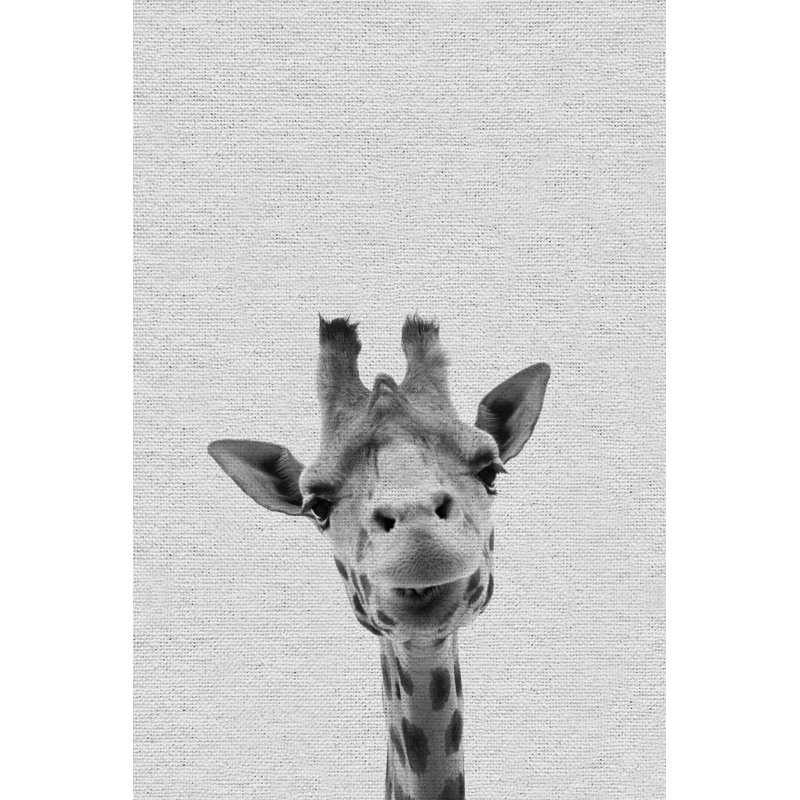 Cool Giraffe - Drawing on Canvas, 30cm H x 20cm W