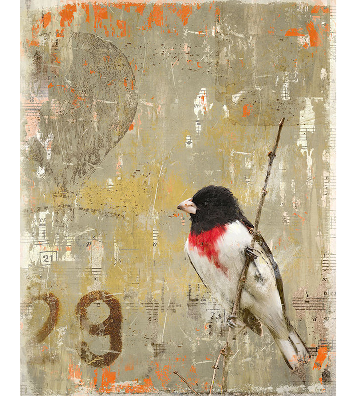 «Aves 29» par Zoey Riley - impression, Extérieur, H 20 po x l 16 po