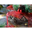 Christmas Decorative Accent