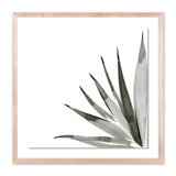 Agave I Print by Jess Engle