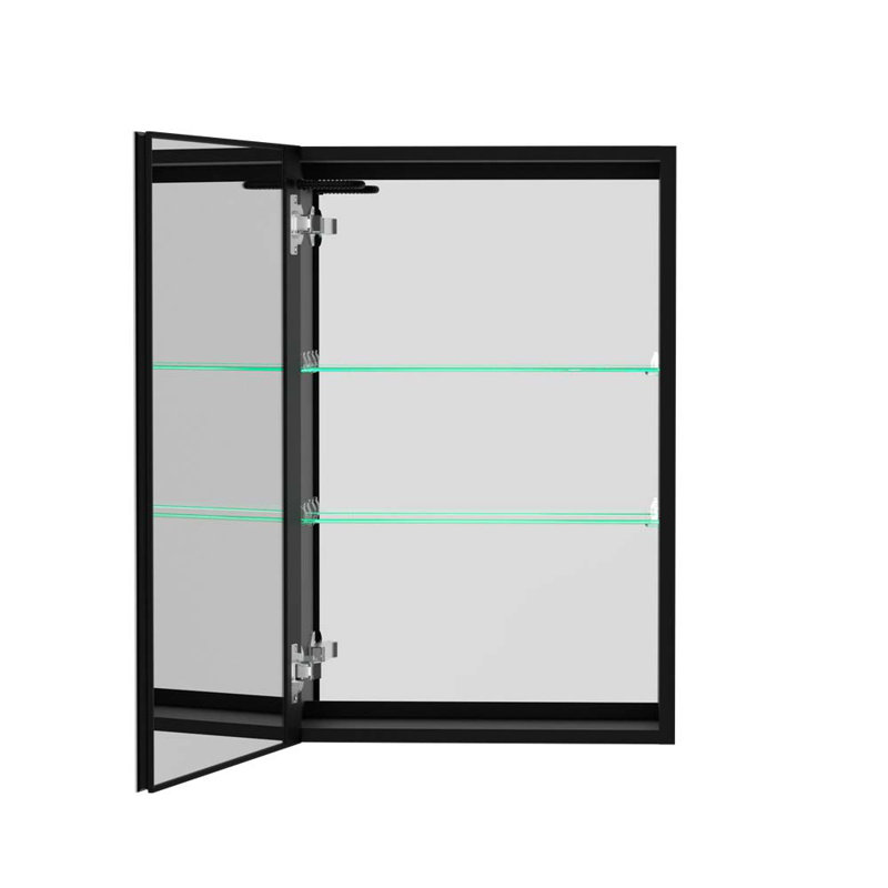 Miroir pour armoire à pharmacie Dayesha, 30 po x 20 po