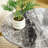 Round Coffee Table-1260320053-1265611686