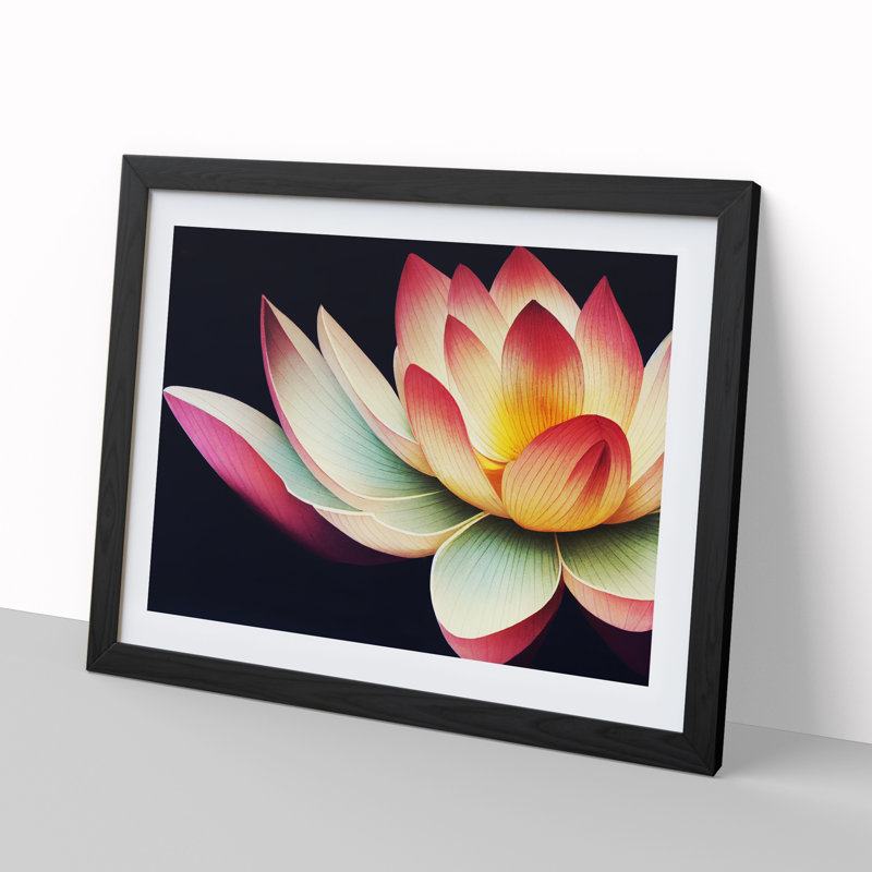 Bright Lotus Flower - Single Picture Frame Print, 34cm H x 46cm W x 2cm D, Black Framed