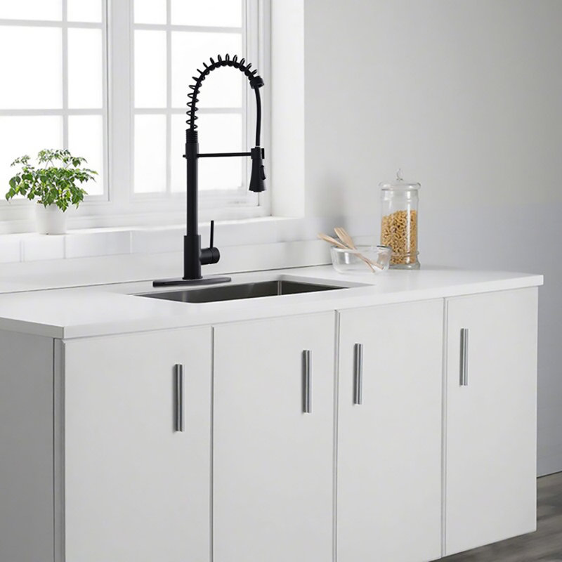Robinet de cuisine à poignée simple avec accessoires Spring, Noir mat