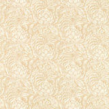 Pina de Indes Wallpaper
