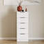 Tanishi 5 Drawer Narrow Chest Of Drawers Modern Storage Solution For Bedroom Nursery Home Office Living Room-1932766850