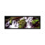 «Cascade d'eau dans une forêt tropicale, parc national olympique, Washington State», reproduction de photo sur toile-19989963-72004149