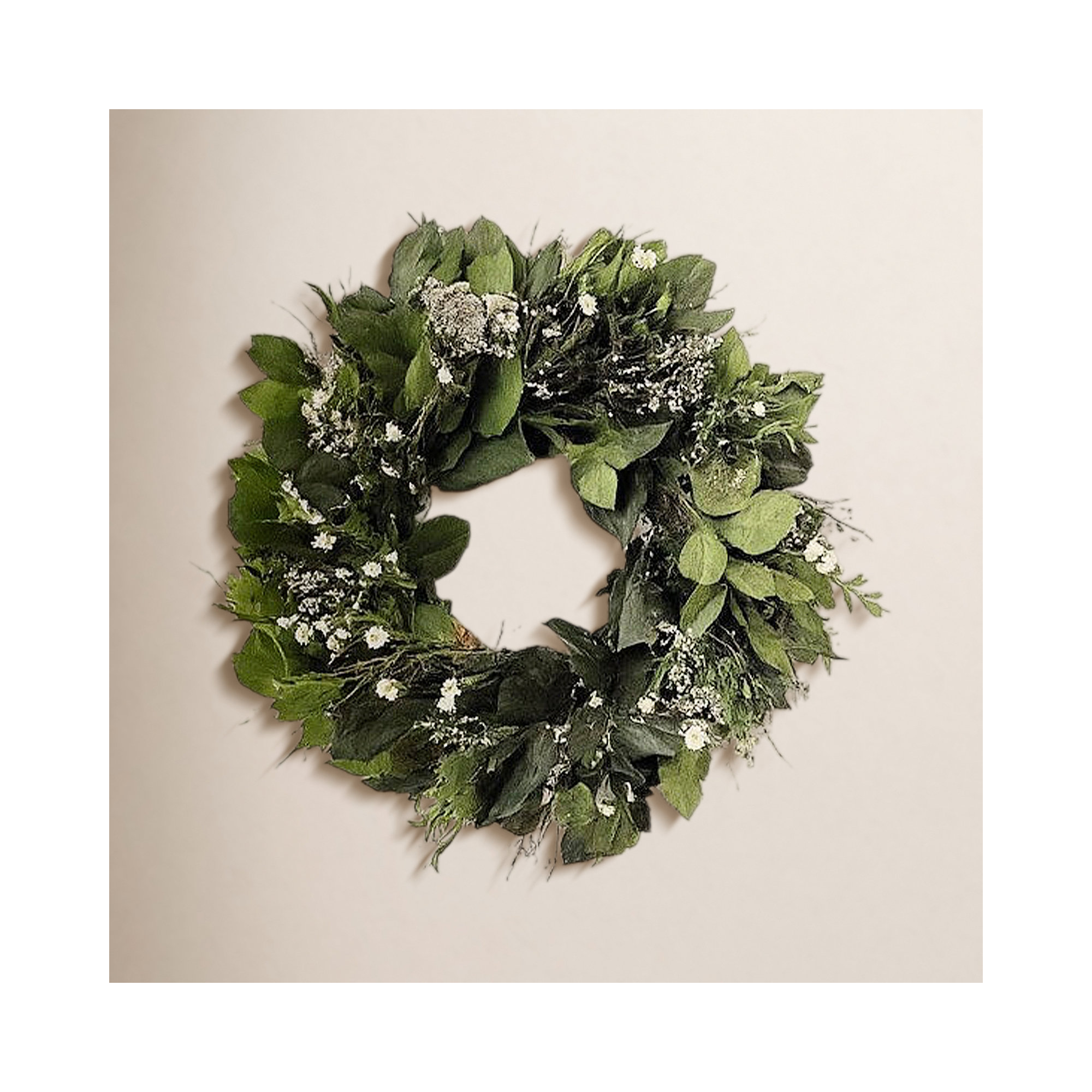 Natural Preserved and Dried Flower Green Leaves, Boxwood, and Ammobium Wreath