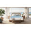 Paramount Sleep Isadore Plush-588227681